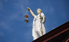 Частная компания незаконно использовала земельные участки во Всеволожском районе