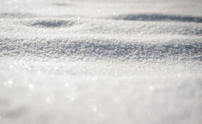 Во Всеволожском районе похолодает до -19 градусов