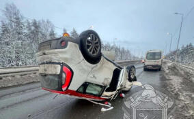 Легковушка перевернулась на Мурманском шоссе