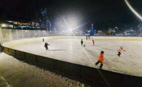 Во Всеволожске открыли бесплатный каток