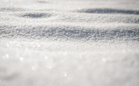 Во Всеволожске потеплеет в субботу