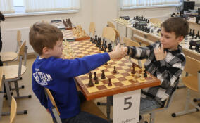 Две шахматные команды из Заневского поселения прошли во Всероссийские соревнования