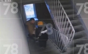 В Мурино выясняют обстоятельства жестокого убийства собаки