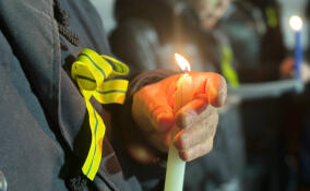 В Лупполово проведут патриотическую акцию «Свеча памяти»