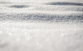 Во Всеволожске в среду ожидается морозная погода