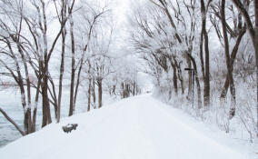 Во Всеволожске похолодает до -13 градусов