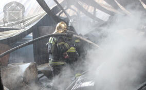 В СНТ под Сертолово огонь сжег кровлю жилого дома