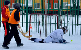 В Дубровке прошли соревнования по хоккею в валенках