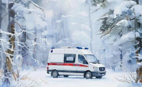 Мужчине стало плохо возле природного парка «Токсовский»