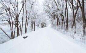 Во Всеволожске похолодает 24 января