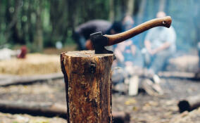 Европеец напал с топором на жительницу Лупполово