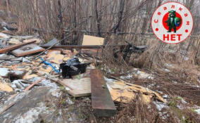 Эконадзор потребовал очистить земельный участок от отходов