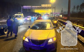 Восемь легковушек столкнулись на КАД