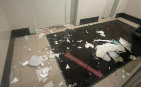 В подъезде дома в Новом Девяткино обрушилась плитка