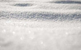 Во Всеволожске похолодает 28 января