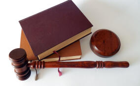 Четыре участка земли в Кудрово и Янино-2 вернули в госсобственность