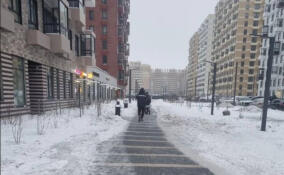 В Янино-1 и Кудрово стали тщательнее чистить улицы после проверок