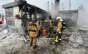 В Порошкино вспыхнуло кафе