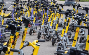 В Заневском поселении будут штрафовать самокатчиков за нарушение правил