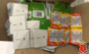 В Мурино и Новом Девяткино задержали пособников украинских мошенников