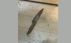 Жительницу Всеволожска подозревают в убийстве сожителя