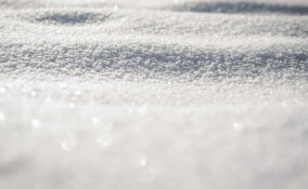 Во Всеволожском районе похолодает до -19 градусов