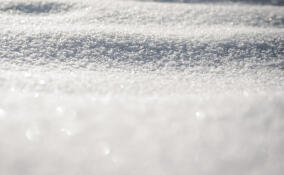 Во Всеволожске похолодает до -17 градусов