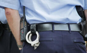 Житель Мурино залил «перцем» водителя из Бугров