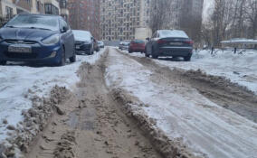 В Кудрово проверили качество уборки снега