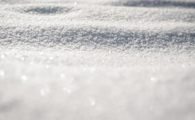 Во Всеволожском районе похолодает до -27 градусов