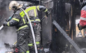 В деревне Бор вспыхнула баня