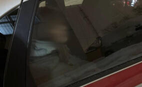 Росгвардейцы вернули домой 13-летнюю девочку из Всеволожского района