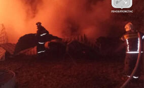 В доме в Куйвози произошло возгорание из-за короткого замыкания