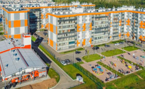 Более 5 тыс. жителей Заневского поселения проголосовали за благоустройство территорий