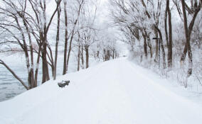 Во Всеволожском районе снова выпадет снег