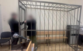 Главе всеволожского муниципального учреждения предъявили обвинение