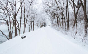Во Всеволожском районе снова похолодает