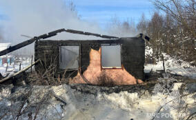 При пожаре в массиве Дунай пострадала женщина