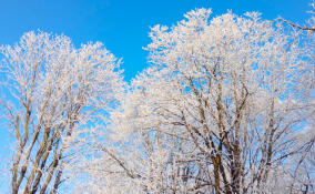 Во Всеволожском районе похолодает до -27 градусов