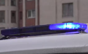 В Мурино задержали девушку за кражу украшений на миллион рублей