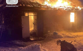 В Лесколовском поселении сгорел дачный дом