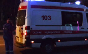 Женщина пострадала в ДТП на трассе «Кола»