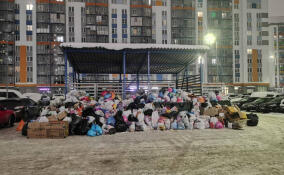 Жители Мурино пожаловались на плохой вывоз мусора