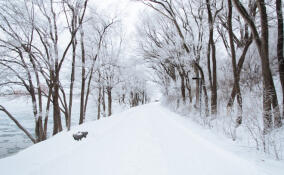 Во Всеволожском районе ожидается туман