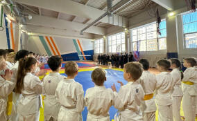 В Кудрово прошли соревнования по всестилевому карате «Серебряные крылья»