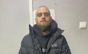 Полицейские задержали жителя Мурино за обман пенсионерки