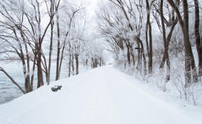 Во Всеволожском районе ожидаются снегопады