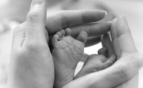 В Мурино умер младенец