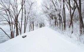 Во Всеволожске ожидается снежная погода