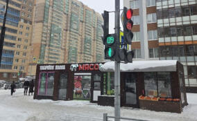 В Кудрово появятся два новых светофора